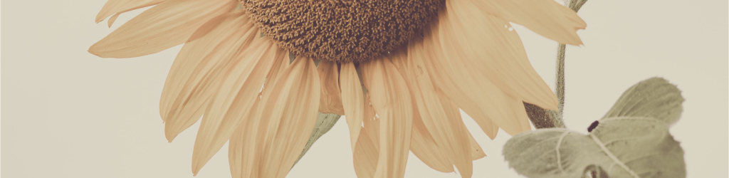 Profiter aujourd’hui, pas à ma retraite