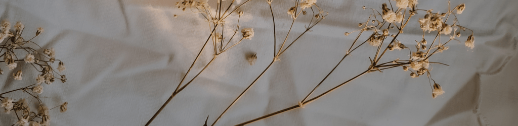 Septembre, je t&rsquo;attendais